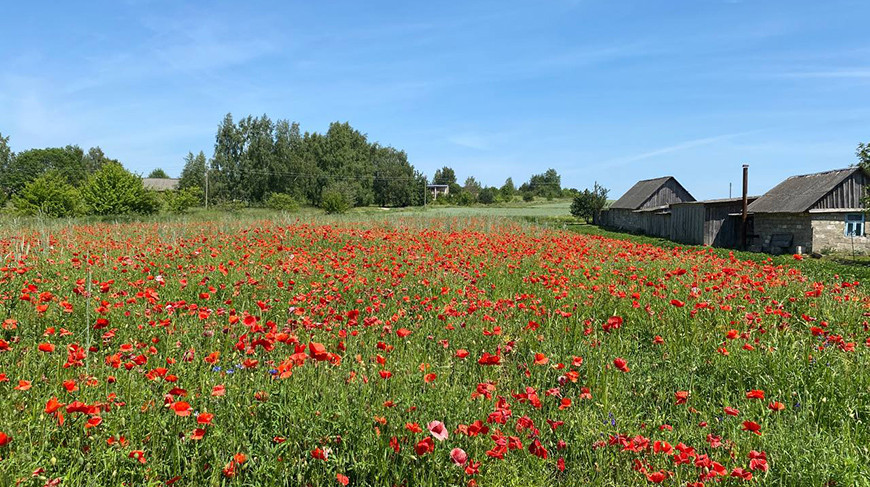 Фото УВД Гродненского облисполкома