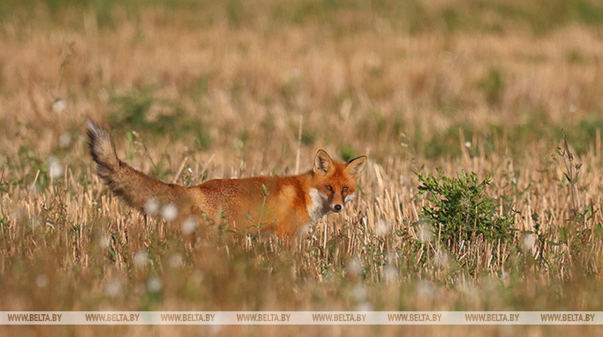 Фото из архива