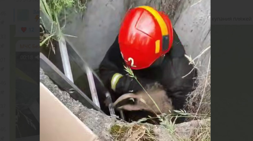 Скриншот видео МЧС