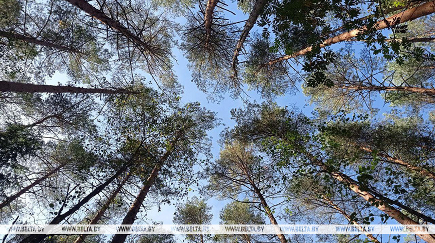 Фото из архива