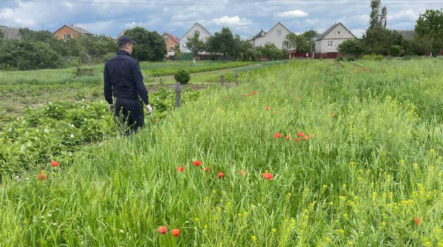 Фото УВД Брестского облисполкома