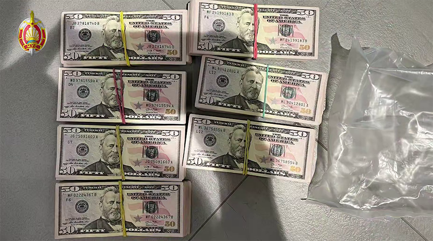 Скриншот видео МВД