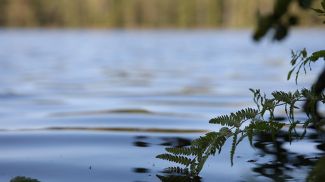 Фото из архива