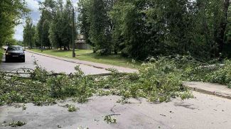 Фото Гродненского областного УМЧС
