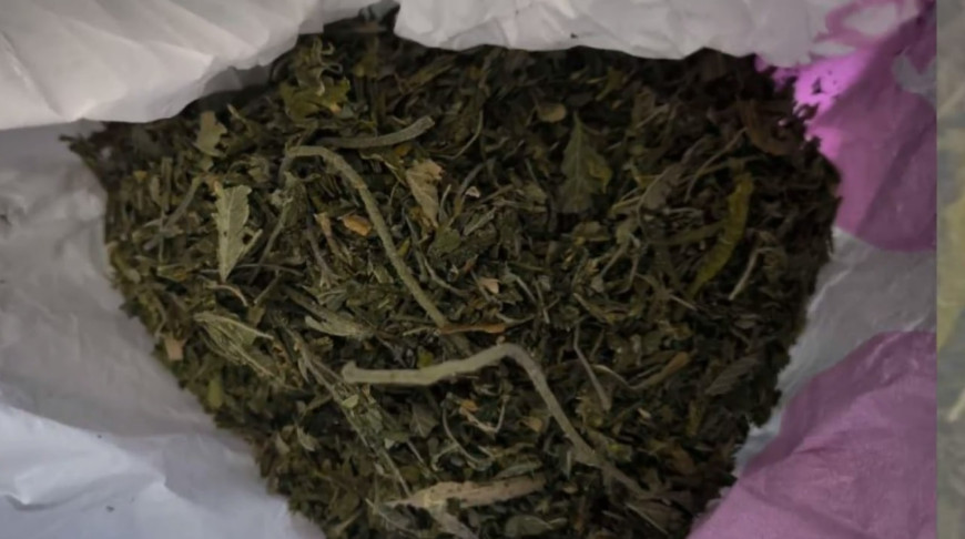 Фото ГУВД Мингорисполкома