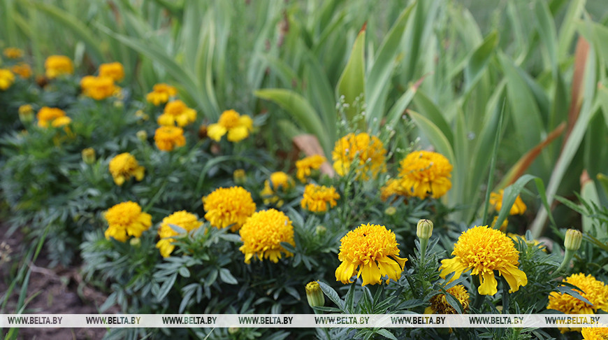 Фото из архива