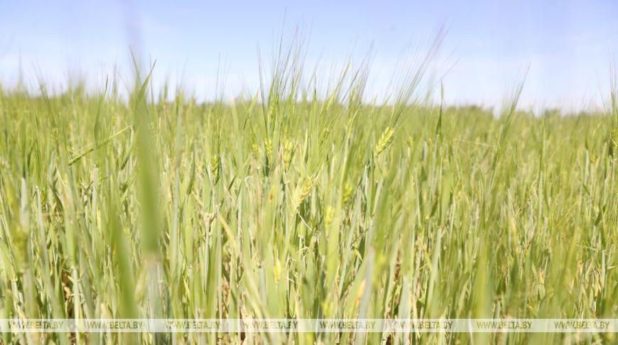 Фото из архива