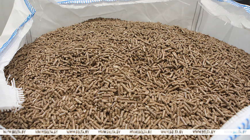 Фото из архива