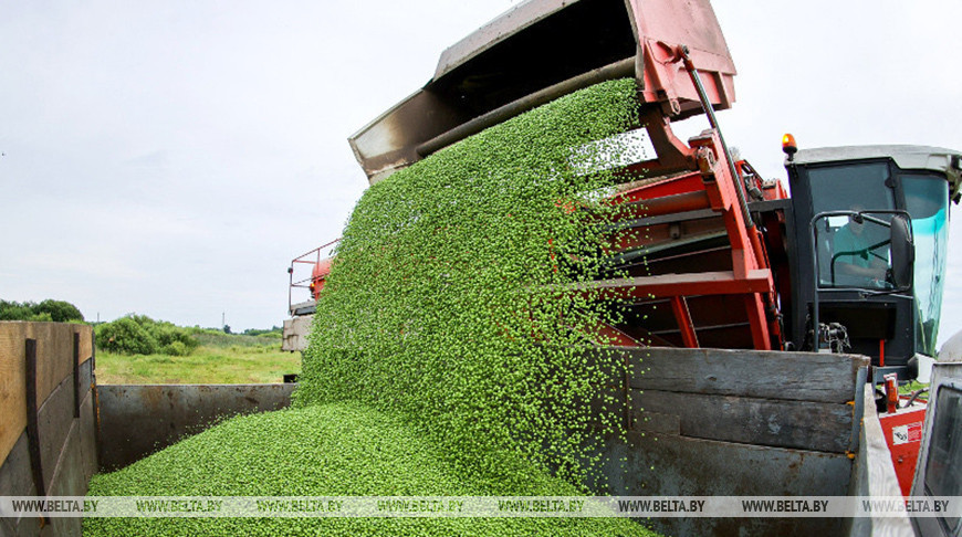 Фото из архива