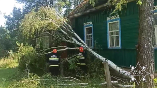 Скриншот видео МЧС