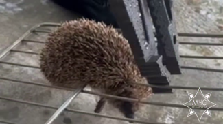 Скриншот видео МЧС