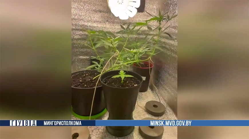 Скриншот видео ГУВД Мингорисполкома