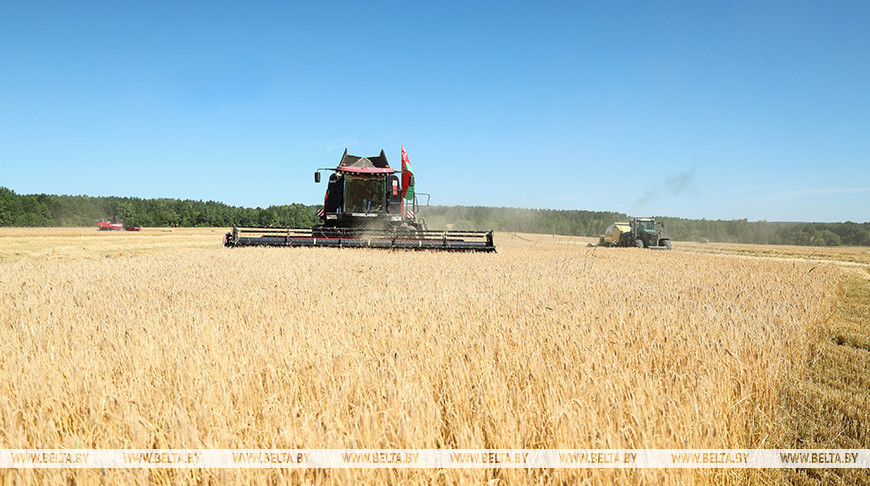 Фото из архива