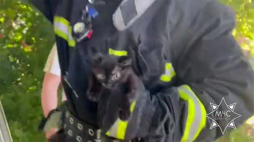 Скриншот видео МЧС