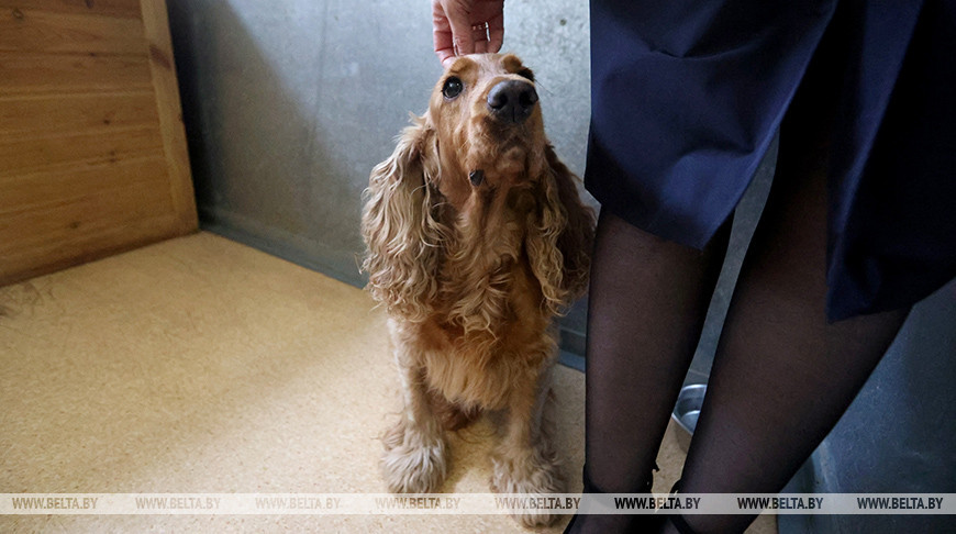 Фото из архива