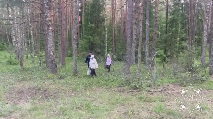 Скриншот видео МЧС