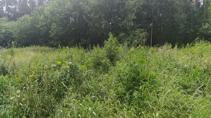 Фото УВД Брестского облисполкома