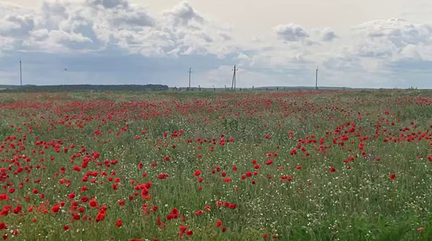 Скриншот видео из архива МВД