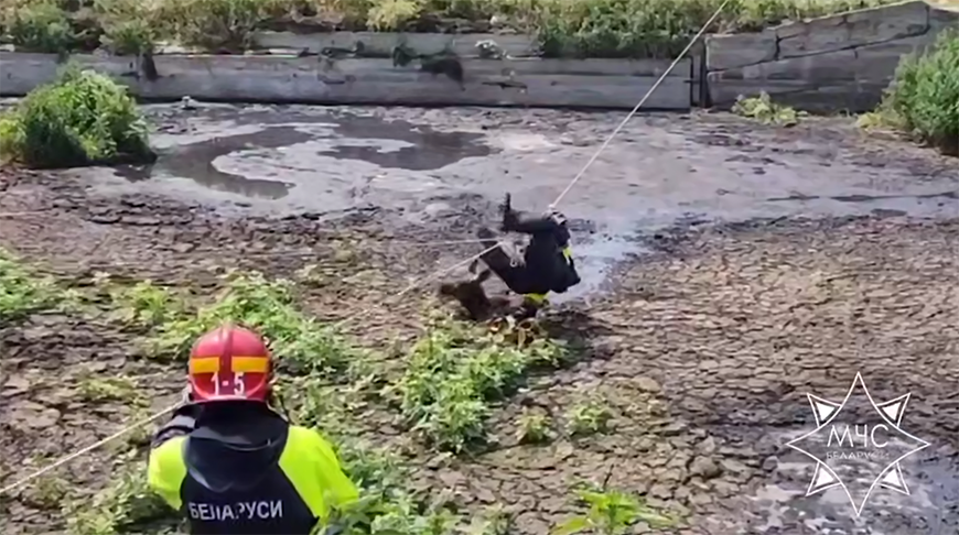 Скриншот видео МЧС