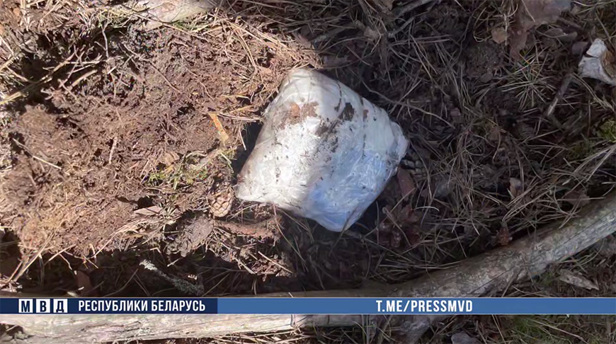 Скриншот видео МВД