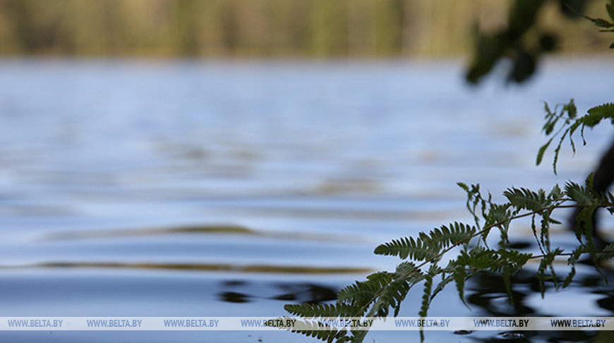 Фото из архива