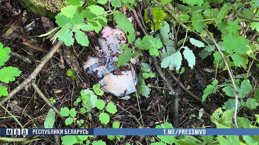 Скриншот видео МВД