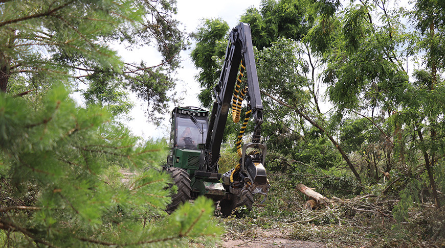 Фото  mogilevnews.by 