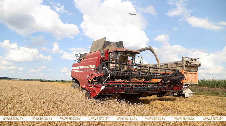 Фото из архива