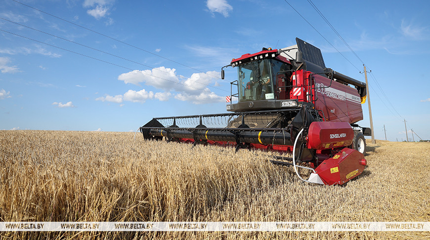 Фото из архива