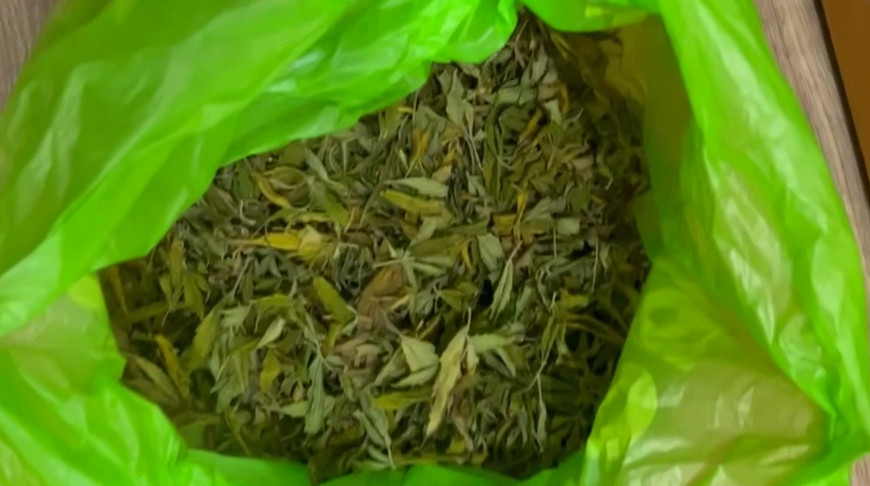 Скриншот видео ГУВД Мингорисполкома