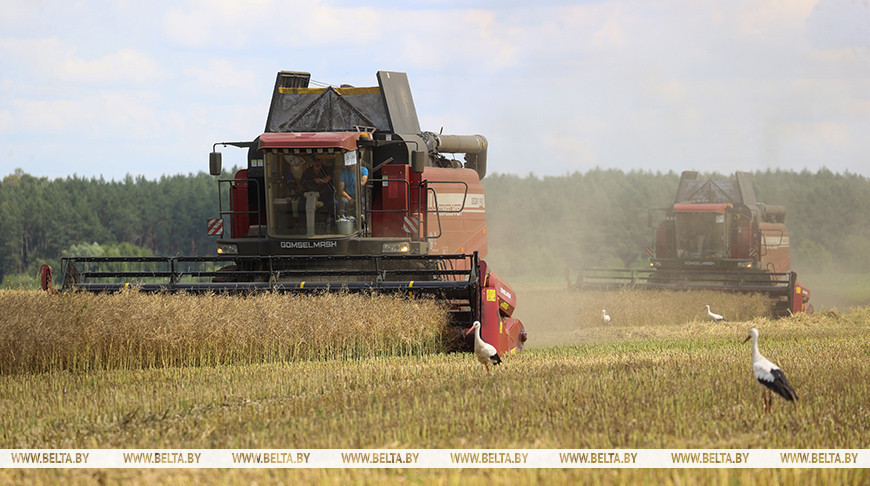 Фото из архива