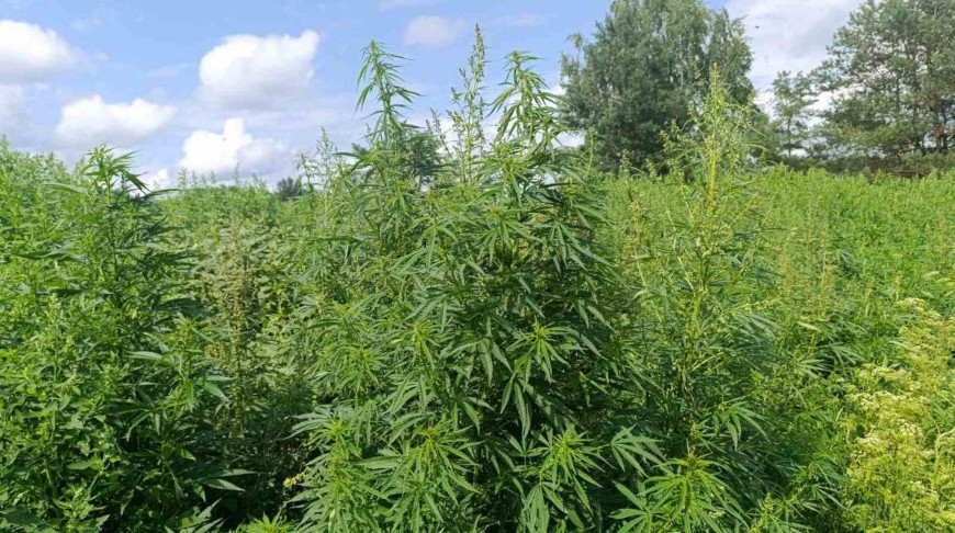 Фото УВД Гродненского облисполкома