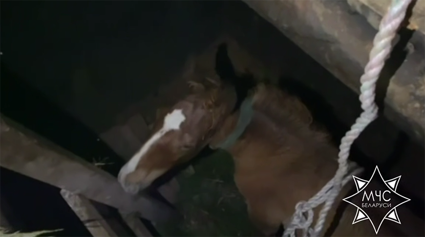 Скриншот видео МЧС