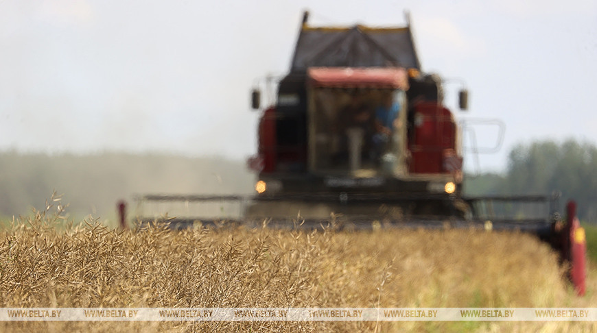 Фото из архива