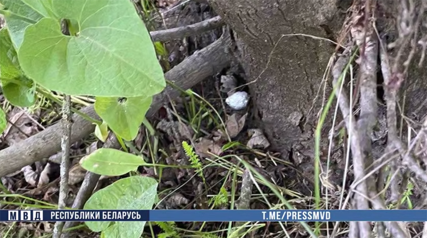 Скриншот видео МВД