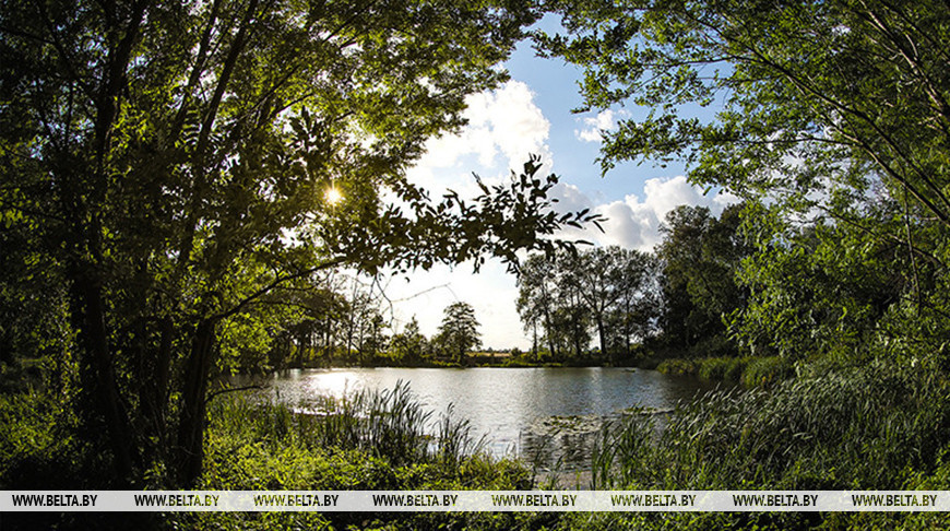 Фото из архива