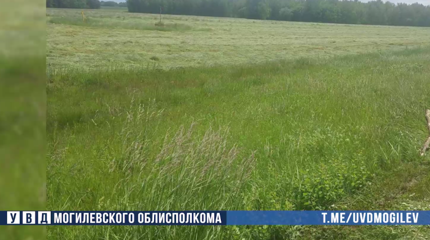 Фото УВД Могилевского облисполкома