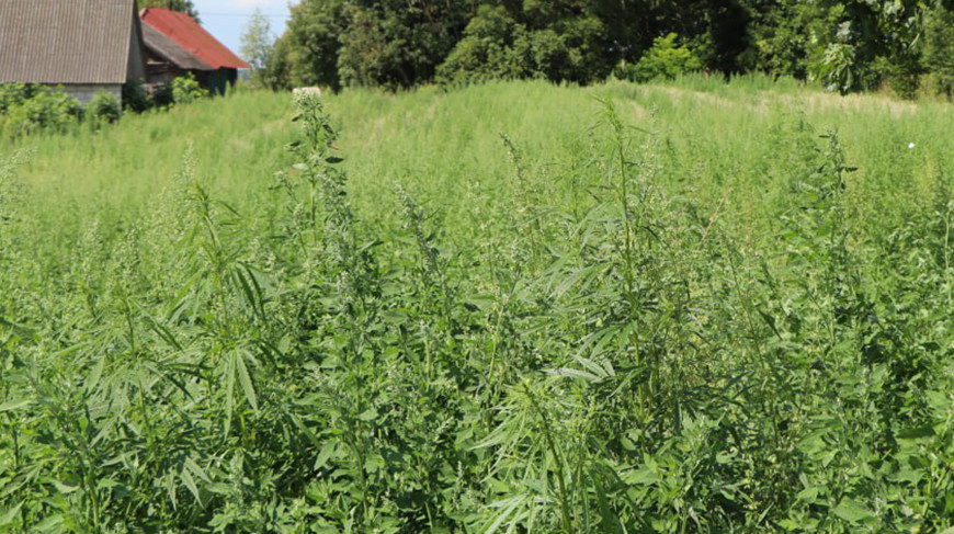 Фото УВД Гродненского облисполкома