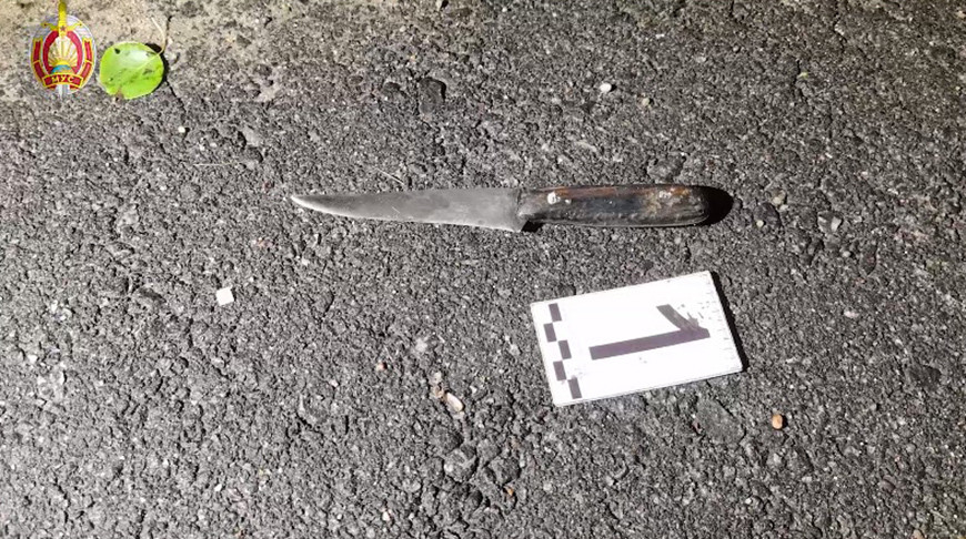 Скриншот видео МВД