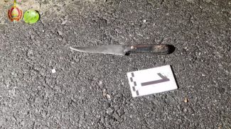 Скриншот видео МВД