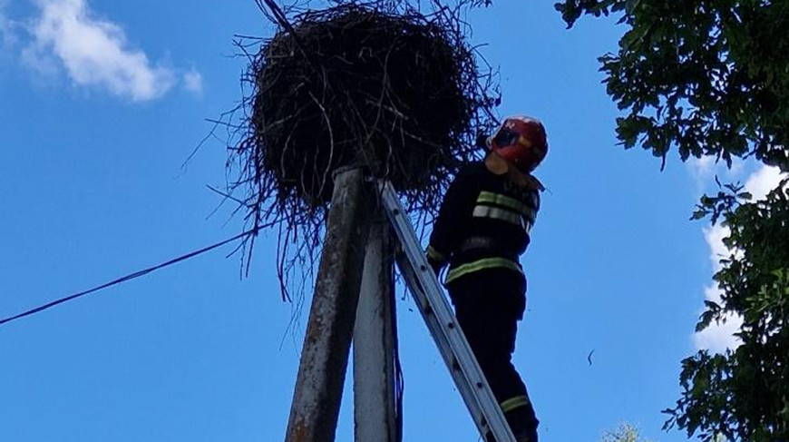 Фото Гомельского областного УМЧС