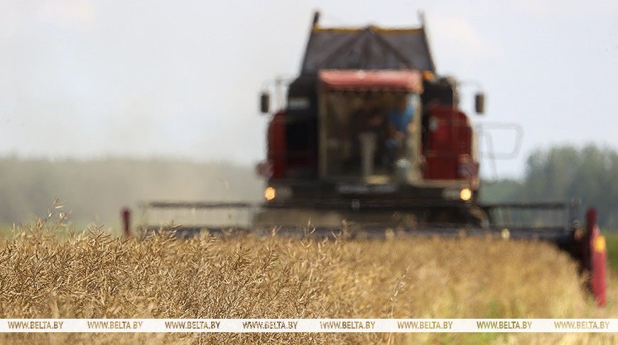 Фото из архива