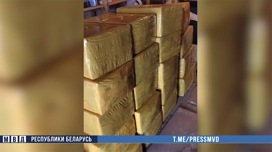 Скриншот видео МВД