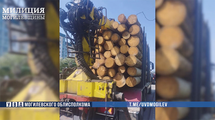 Скриншот видео УВД Могилевского облисполкома