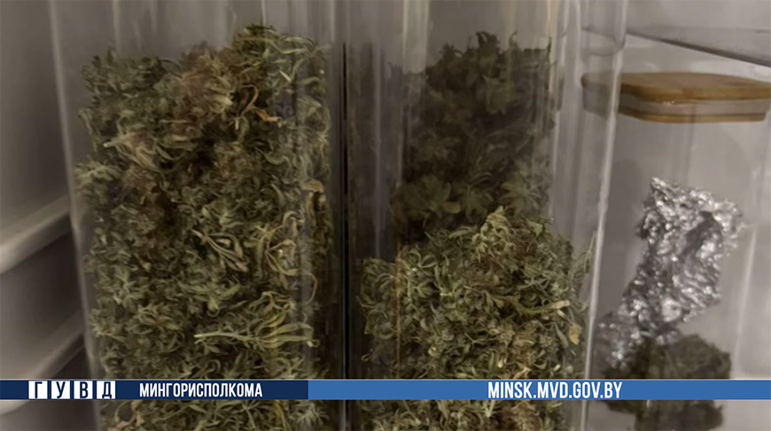 Скриншот видео ГУВД Мингорисполкома