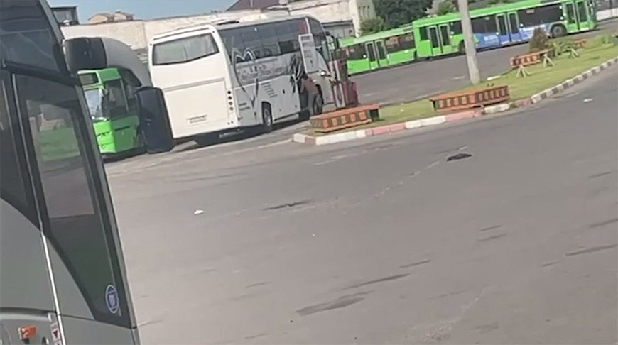 Скриншот видео МВД