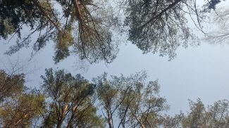 Фото из архива