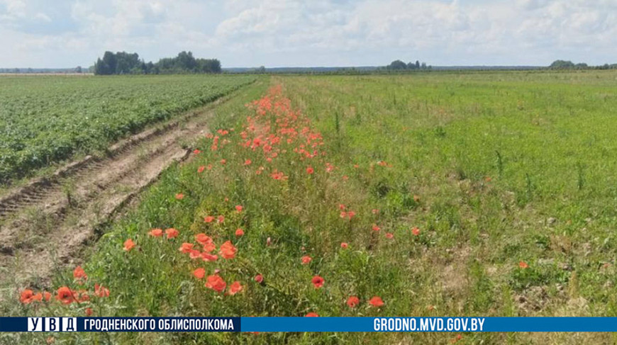Фото УВД Гродненского облисполкома