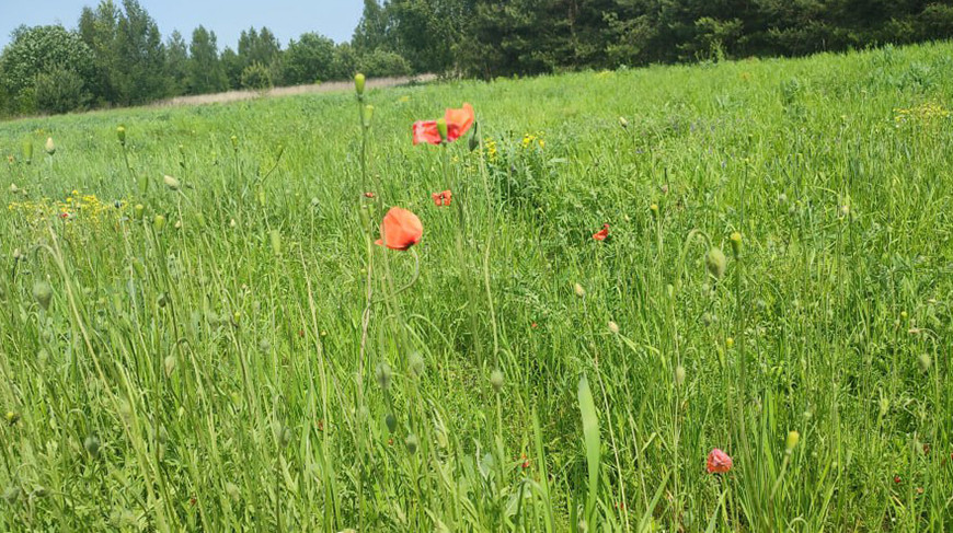 Фото УВД Брестского облисполкома
