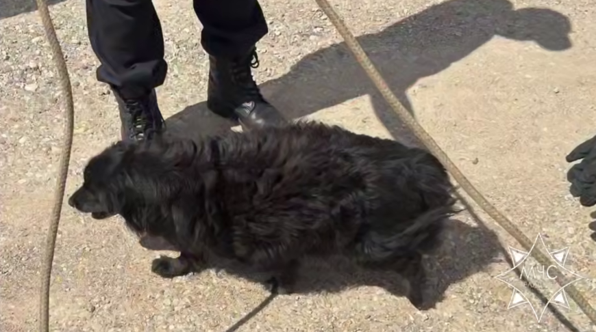 Скриншот видео МЧС